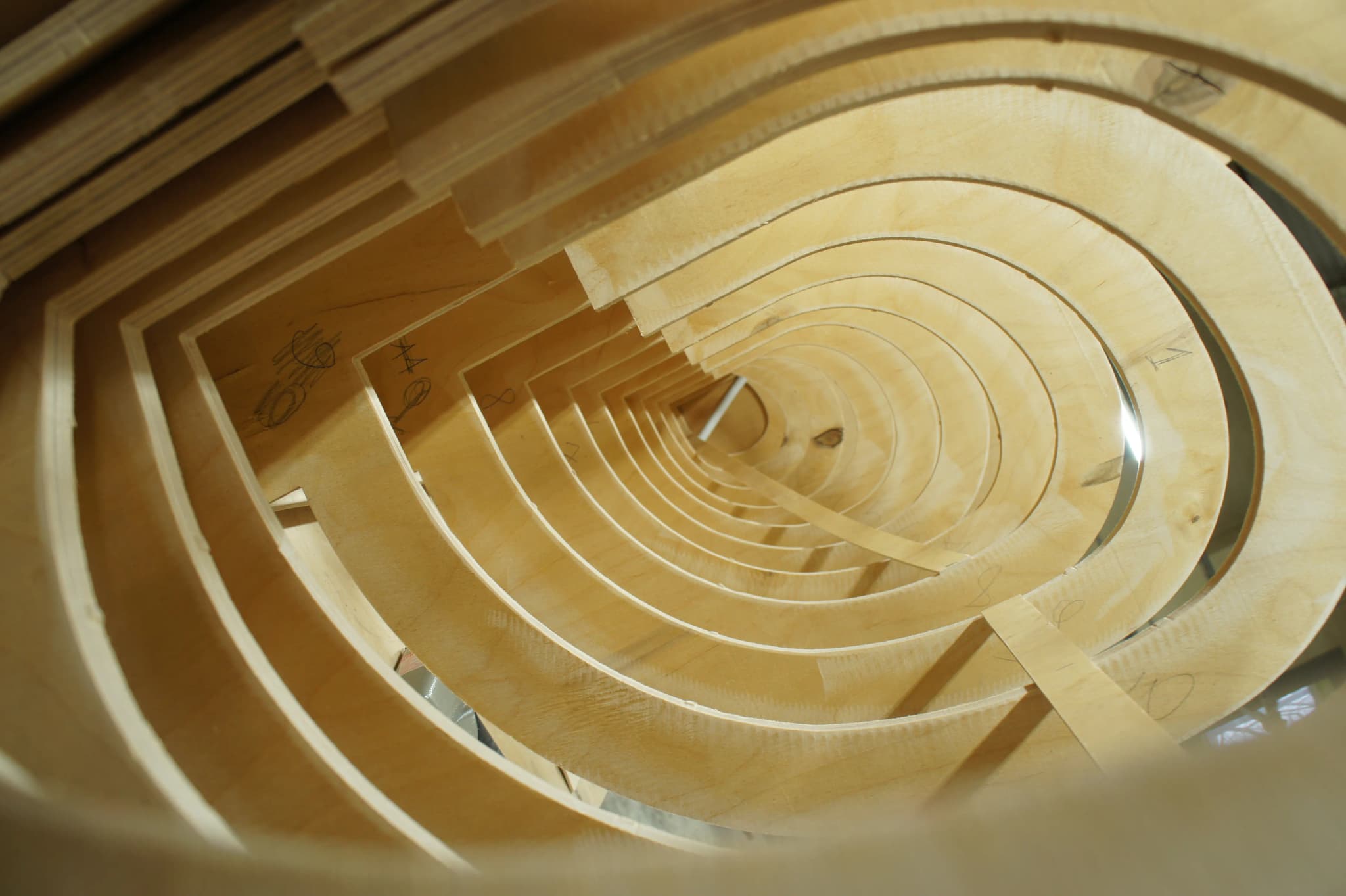 набор рёбер, которые шаг за шагом повторяют контур хвоста